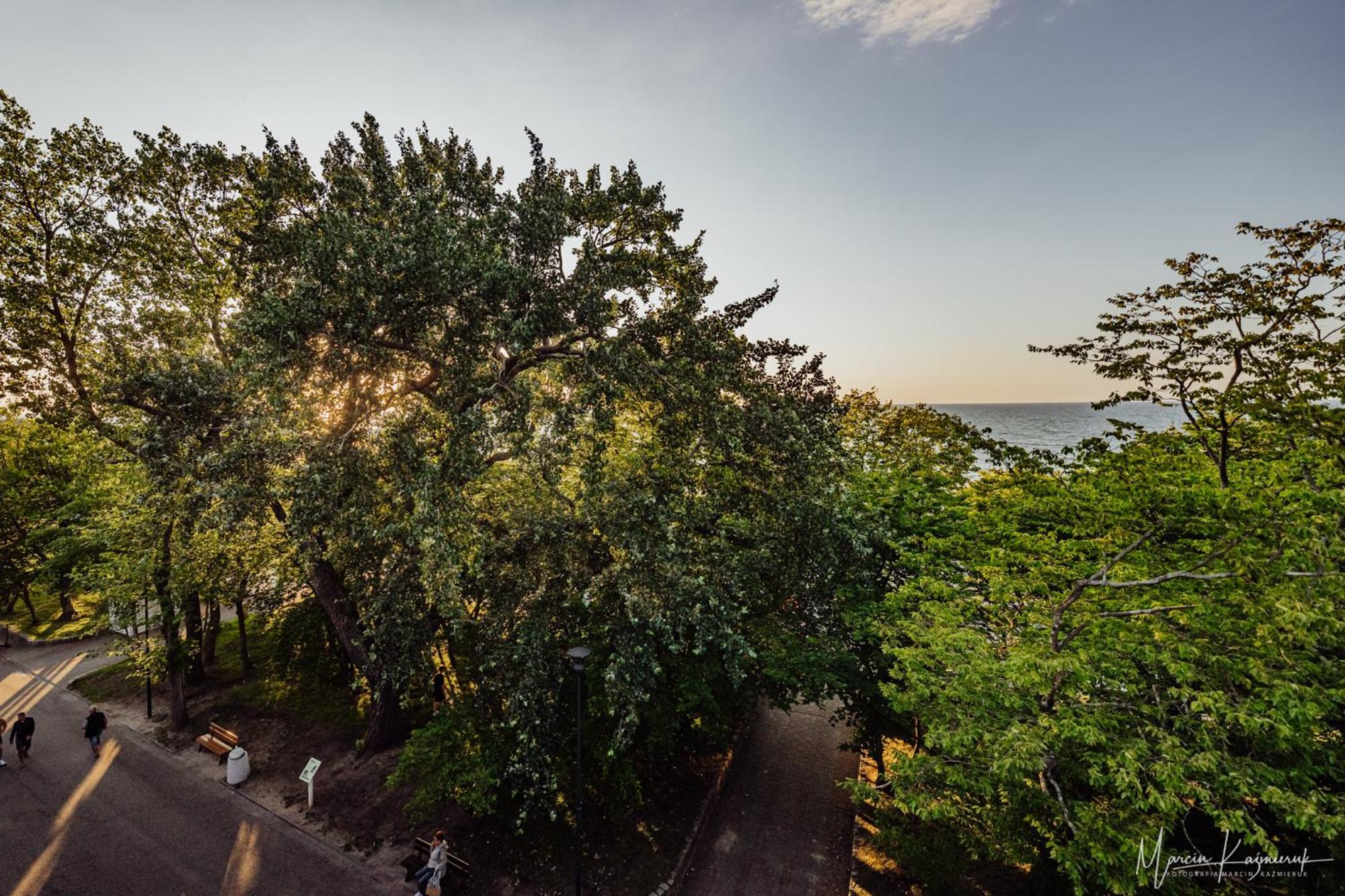 Cristal Bed & Breakfast Ustka Exterior foto